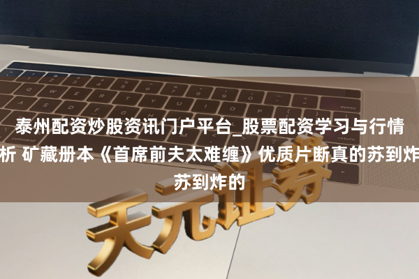 泰州配资炒股资讯门户平台_股票配资学习与行情解析 矿藏册本《首席前夫太难缠》优质片断真的苏到炸的
