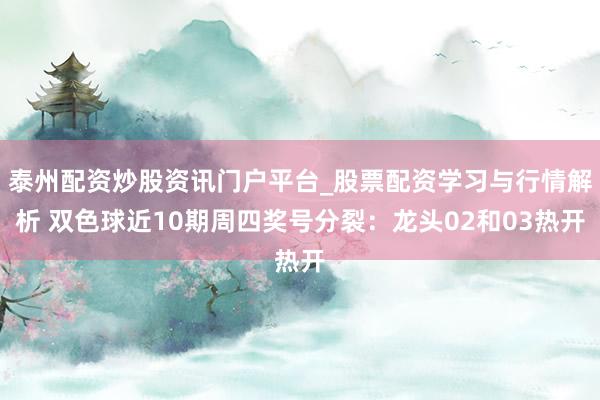 泰州配资炒股资讯门户平台_股票配资学习与行情解析 双色球近10期周四奖号分裂：龙头02和03热开