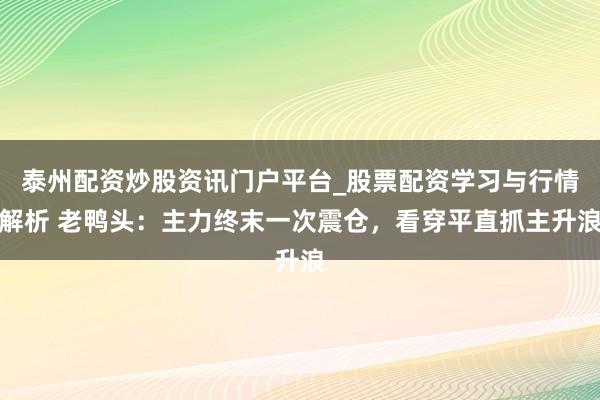 泰州配资炒股资讯门户平台_股票配资学习与行情解析 老鸭头：主力终末一次震仓，看穿平直抓主升浪