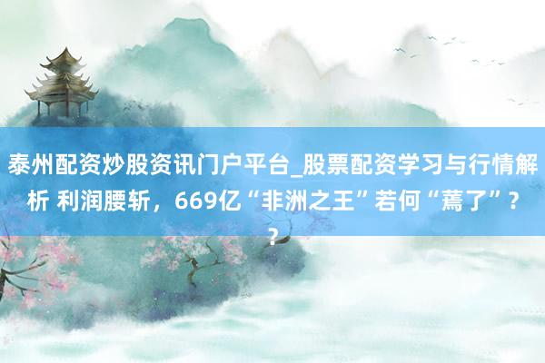泰州配资炒股资讯门户平台_股票配资学习与行情解析 利润腰斩，669亿“非洲之王”若何“蔫了”？