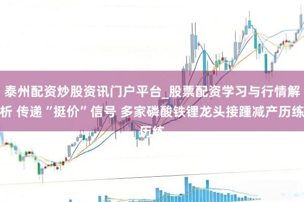 泰州配资炒股资讯门户平台_股票配资学习与行情解析 传递“挺价”信号 多家磷酸铁锂龙头接踵减产历练