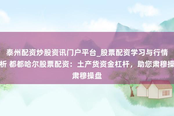 泰州配资炒股资讯门户平台_股票配资学习与行情解析 都都哈尔股票配资：土产货资金杠杆，助您肃穆操盘