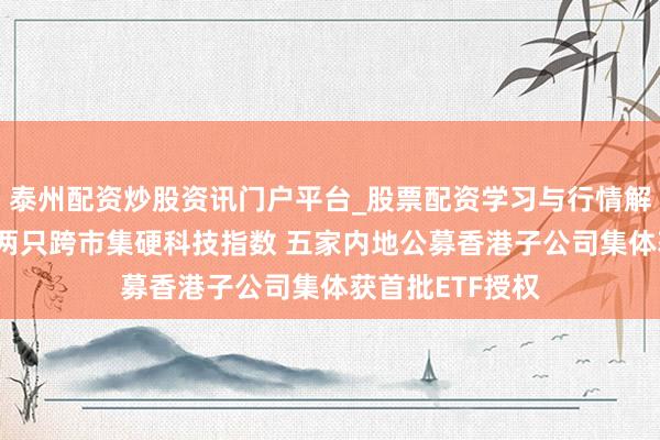 泰州配资炒股资讯门户平台_股票配资学习与行情解析 港交所推出两只跨市集硬科技指数 五家内地公募香港子公司集体获首批ETF授权