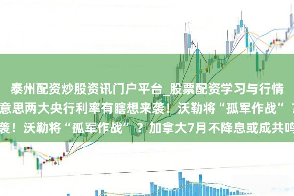 泰州配资炒股资讯门户平台_股票配资学习与行情解析 机构前瞻：北好意思两大央行利率有瞎想来袭！沃勒将“孤军作战” ？加拿大7月不降息或成共鸣